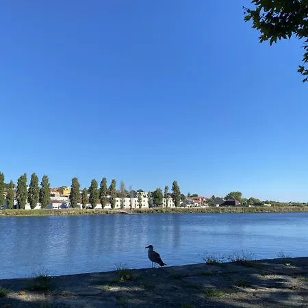 Apartament Praceta Do Conde *